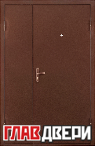 Металлическая дверь СПЕЦ DL  (металл/панель)