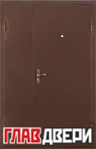 Металлическая дверь ПРОФИ DL (металл/металл)
